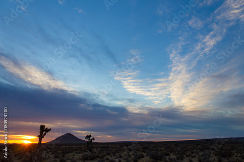 Desert Sunset