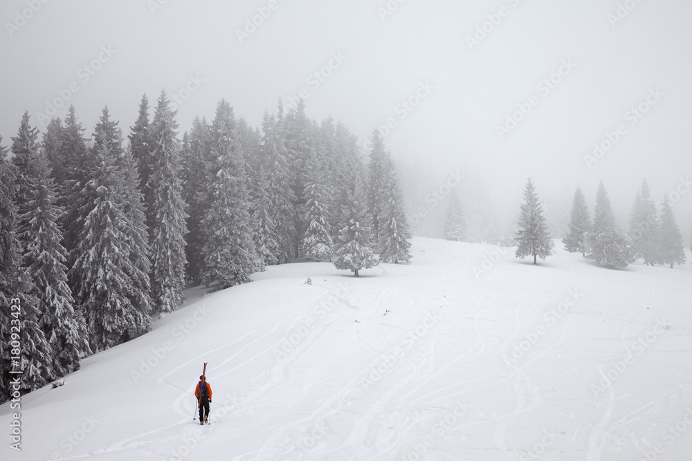 Freerider go up on snow off-piste slope in frozen fir forest with fog sky