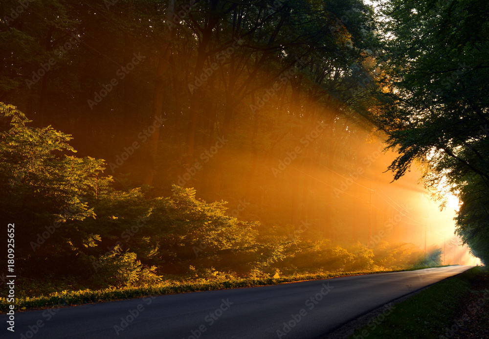 Fototapeta premium Beautiful morning