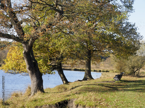 Longmore Pool, Sutton Park photo