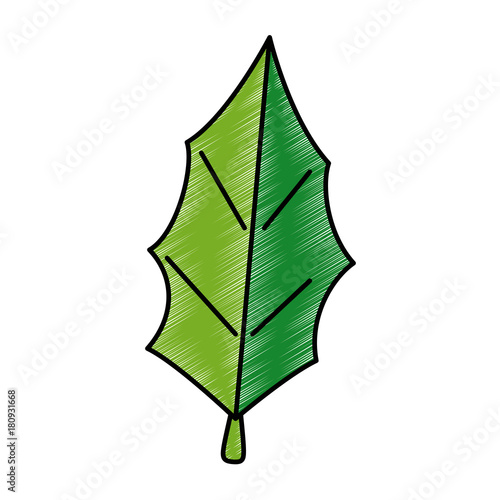 christmas leafs decorative icon