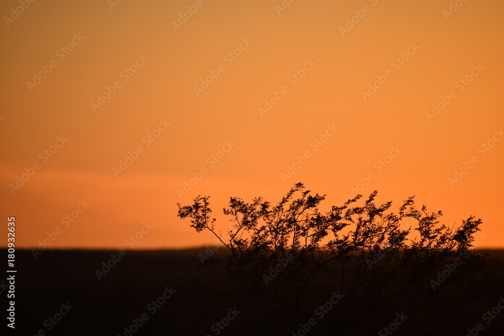 Obraz premium Orange Sunset Landscape