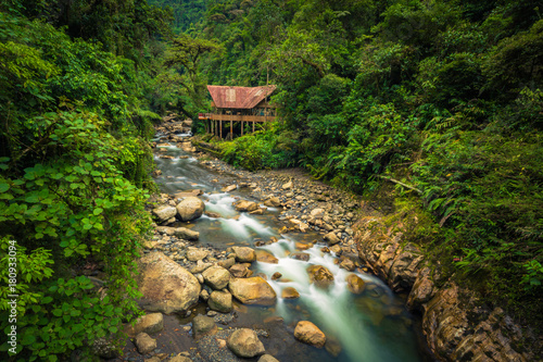 Fototapeta Naklejka Na Ścianę i Meble -  Manu National Park, Peru - August 05, 2017: A jungle lodge by a river in Manu National Park, Peru