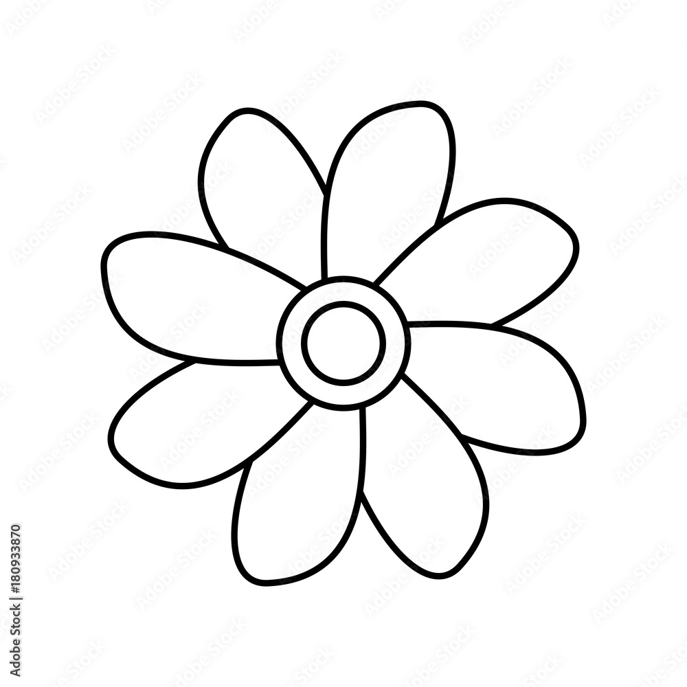 Beautiful flowers with petals icon vector illustration graphic design Beautiful flowers with petals icon vector illustration graphic design
