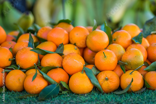 large pile of ripe mandarins with leaves