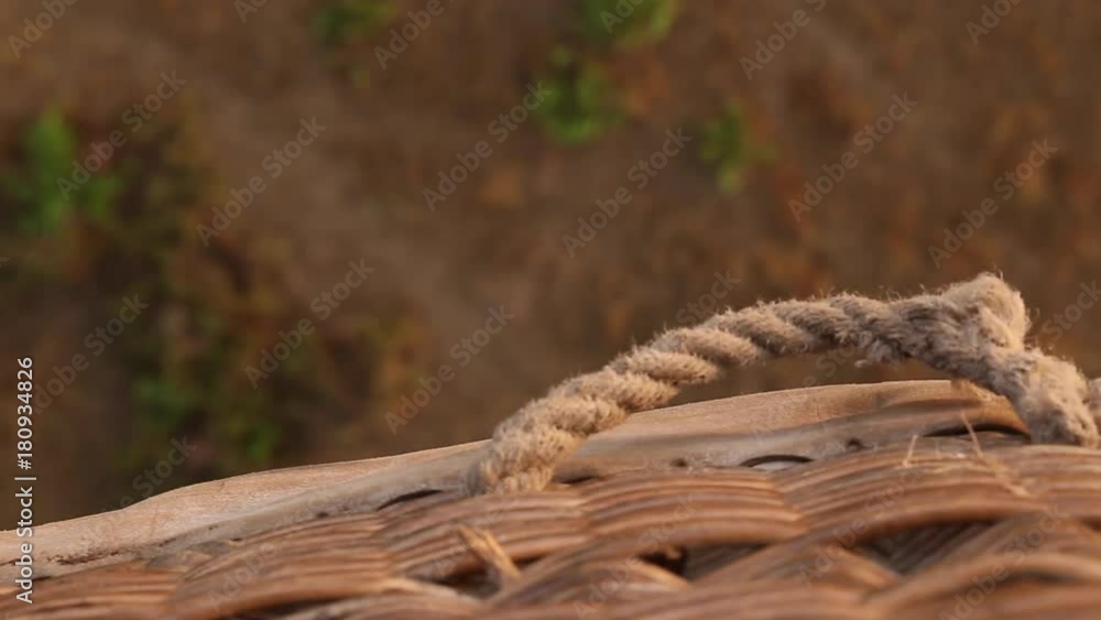 flying over the savannah inside a hot air balloon. flying over the savannah inside a hot air balloon.