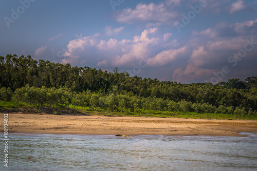 Manu National Park, Peru - August 06, 2017: Landscape of the Amazon rainforest in Manu National Park, Peru photo