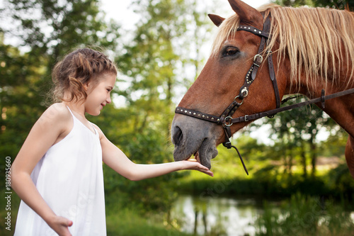Llittle girl is feeding a horse. Summer meadow.