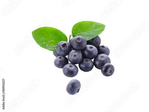 Blueberry on a white background.