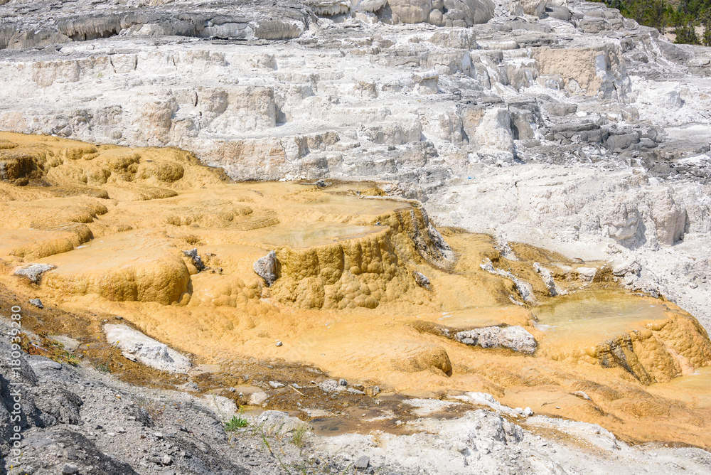 Mammoth Hot Springs. Northern entrance, Yellowstone Park, USA