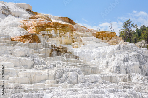 Palette Spring landscape, Travertine Terrace, Mammoth Hot Springs, Yellowstone Park, USA