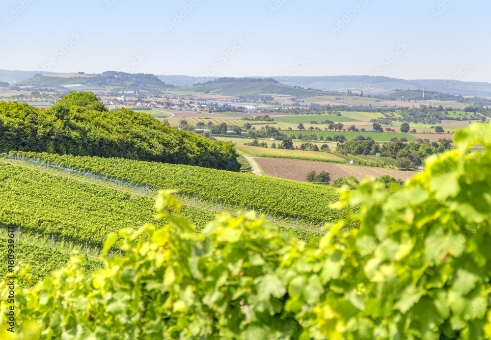 winegrowing scenery in Hohenlohe