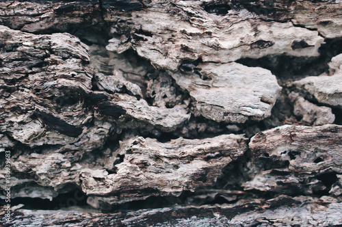 old  gray wood  texture  abstract art background