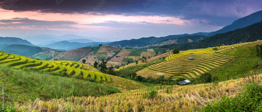 Panoramic view of Terraced Paddy Field in Pa Pong Pieng , Mae Chaem, Chiang Mai, Thailand.