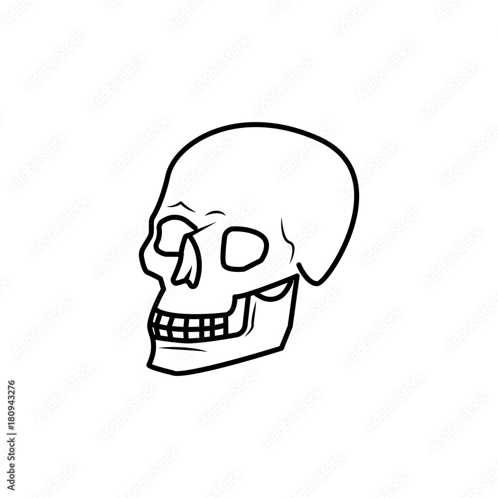 Skull vector icon. Body part element. Premium quality graphic design. Signs, outline symbols collection, simple thin line icon for websites, web design, mobile app, info graphics Skull vector icon. Body part element. Premium quality graphic design. Signs, outline symbols collection, simple thin line icon for websites, web design, mobile app, info graphics