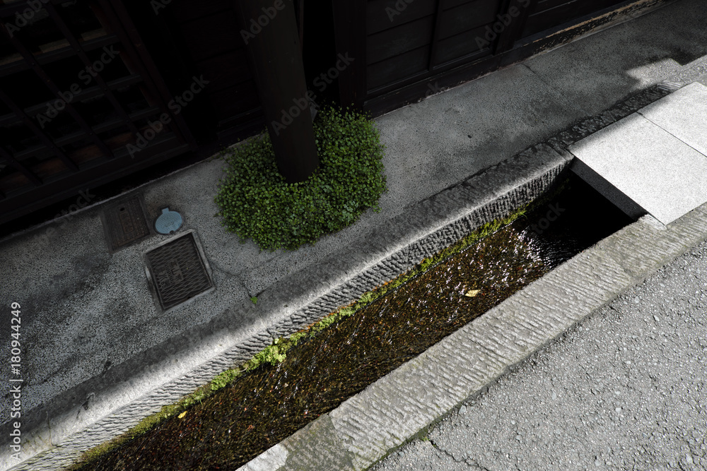 玄関先の水路と緑