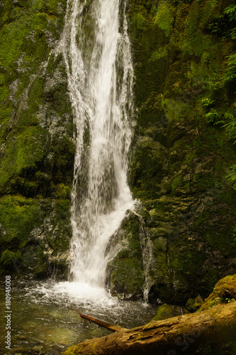 Madison Falls near the Elwha River photo