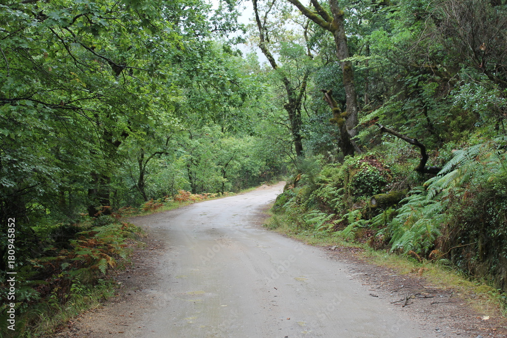 Gerês Gerês