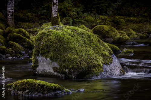 Silent Stream