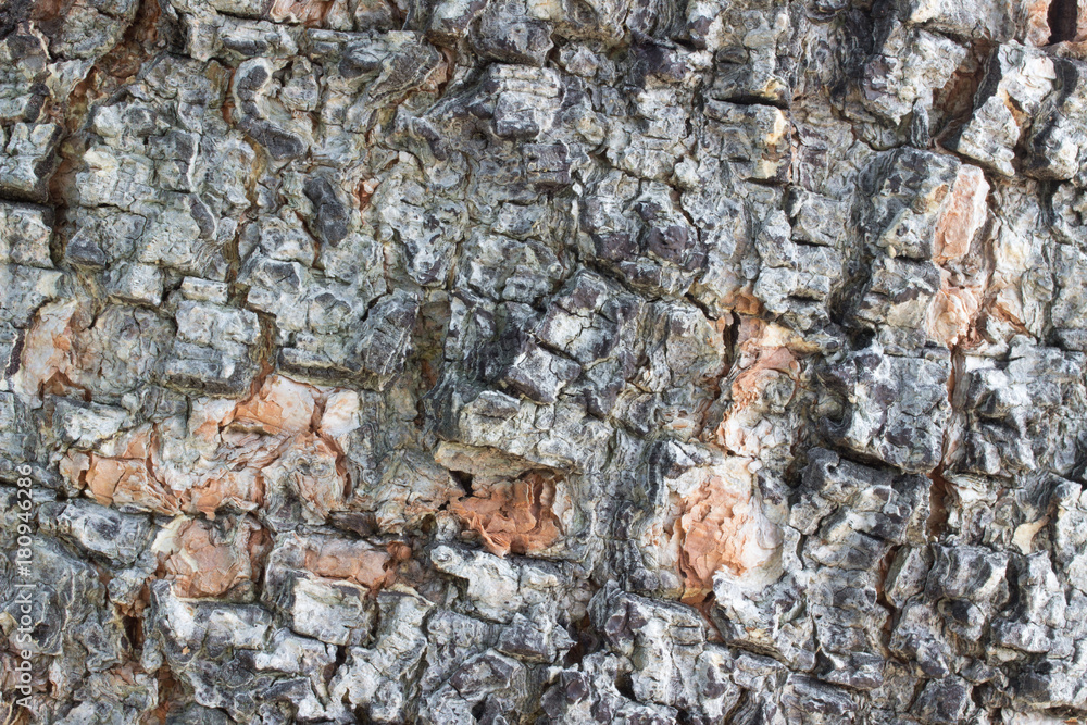 Fototapeta premium Abstract wood texture background