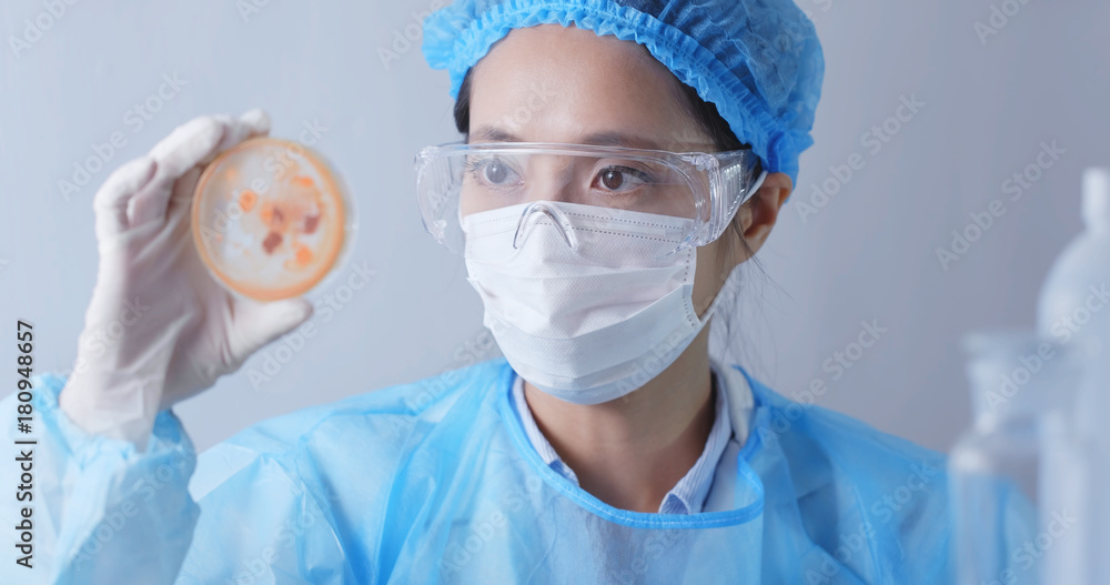 Scientist checking Petri dish Scientist checking Petri dish