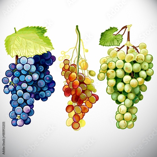 Grapes