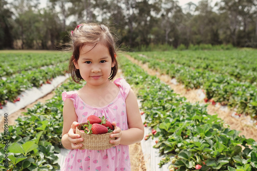young Asian girl holding a box of fresh strawberries on organic strawberry farm