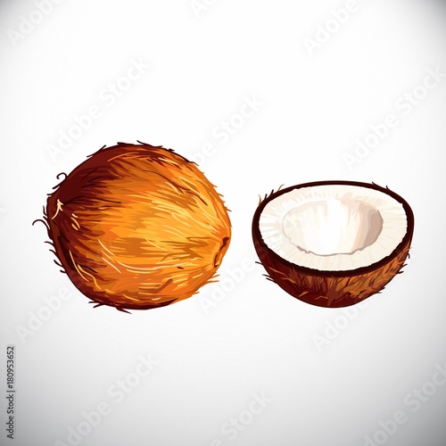  Fruit, coconut