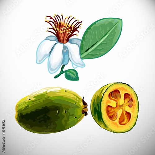  Fruit, feijoa