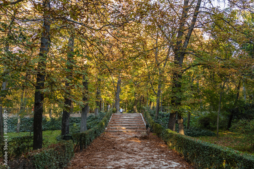 Park in autumn Park in autumn