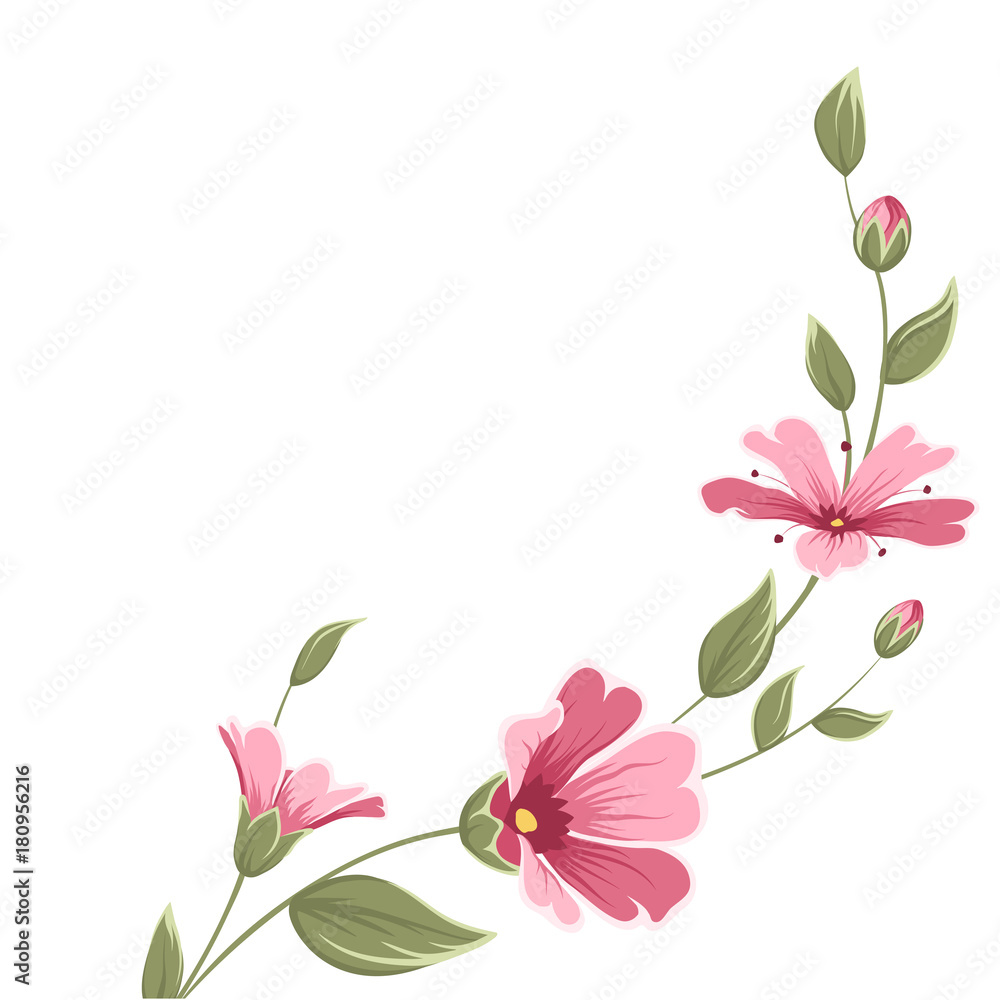 Baby breath gypsophila flower branch with blooming flowers, bud, stem, green leaves. Isolated botanical floral vector design element on white background. Bright pin purple spring summer flowers.