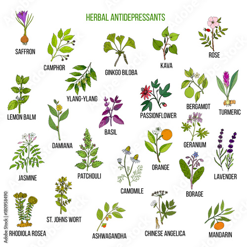Best herbal antidepressants