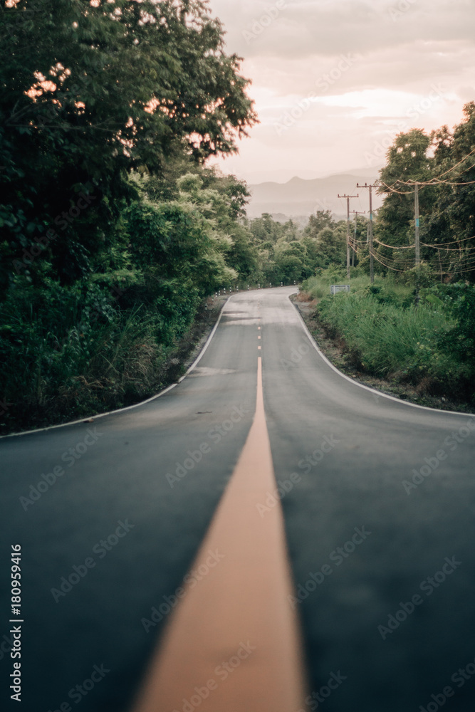 Fototapeta premium Forest road