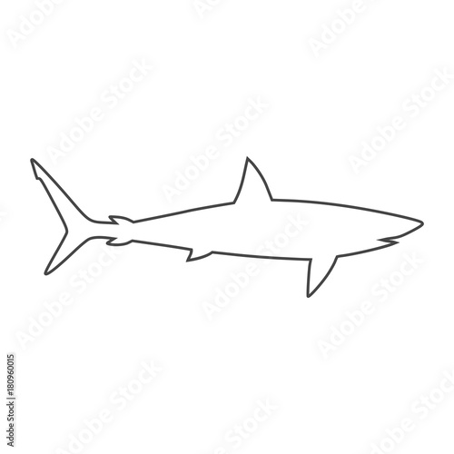 Line Shark sign, Shark icon