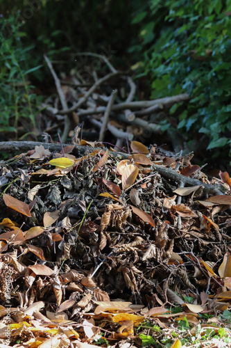 Reisighaufen im Naturgarten