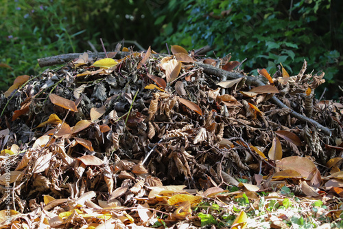 Reisighaufen im Naturgarten
