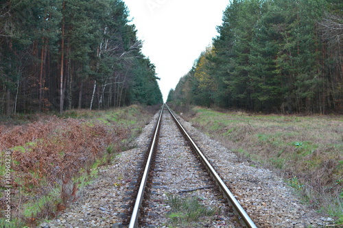 Fototapeta Naklejka Na Ścianę i Meble -  tory kolejowe w lesie