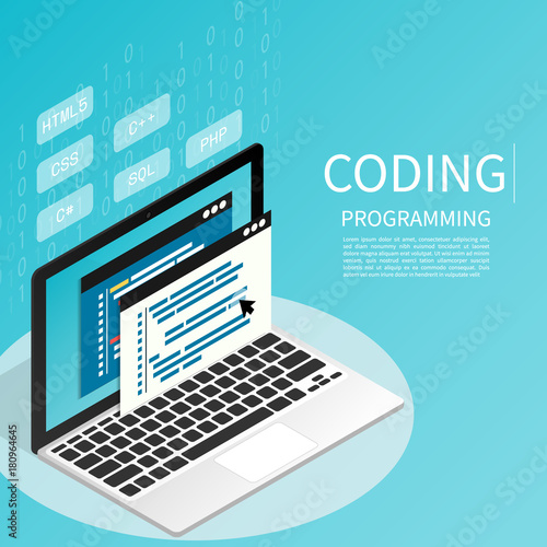 programmer coding binary computer isometric flat vector
