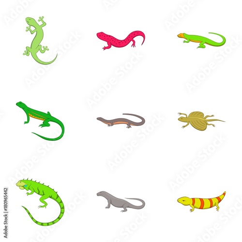 Amphibian reptile species icons set, cartoon style