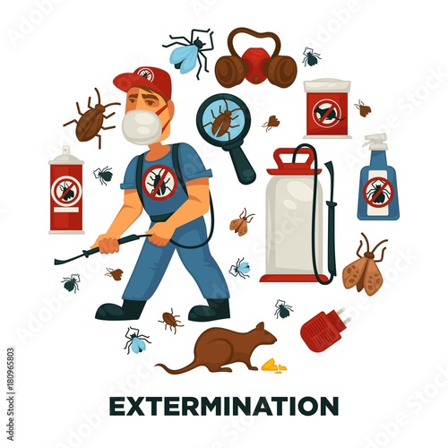 Extermination or pest control service company information poster template for sanitary domestic disinfection.
