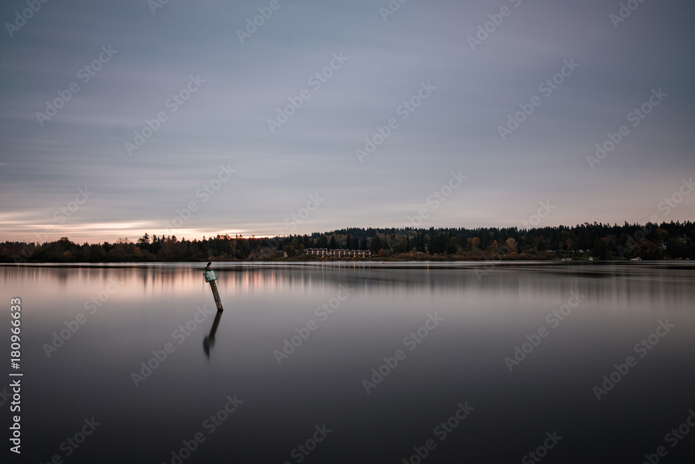 Long exposure of signs and abandoned pilings in Lake Washington