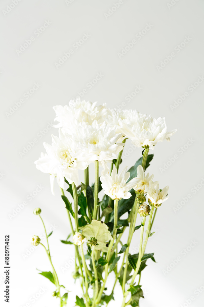 Fototapeta premium Bouquet carnation flower on white background.