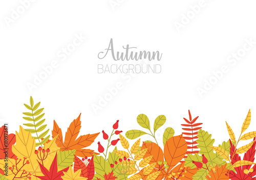 Horizontal banner with various colorful autumn tree leaves at bottom edge and place for text on white background