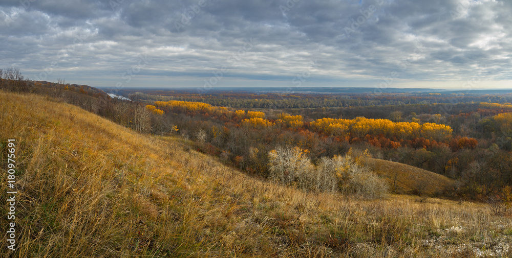 Autumn landscape. View of the forest with yellow foliage against the background of a cloudy sky.