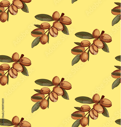 Seamless pattern with drawn argan, branch sketch. Colored. VECTOR art.