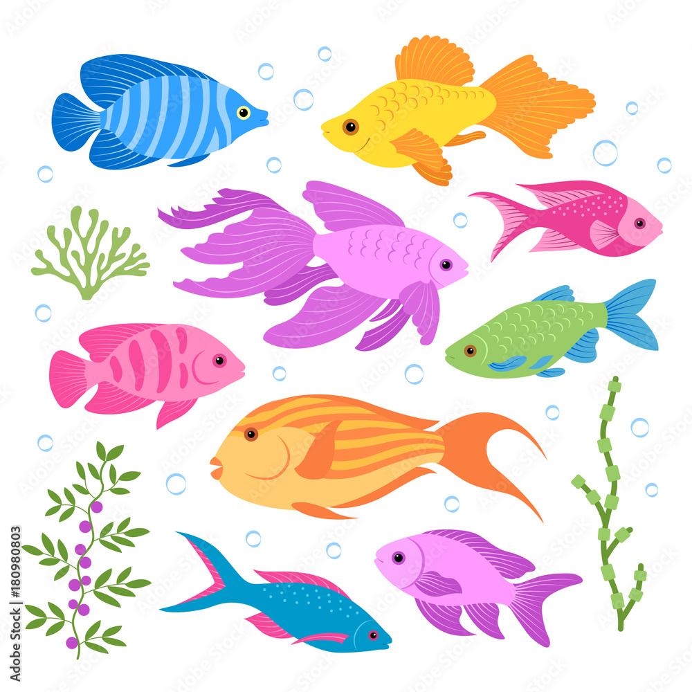 Motley fish. Motley fish.