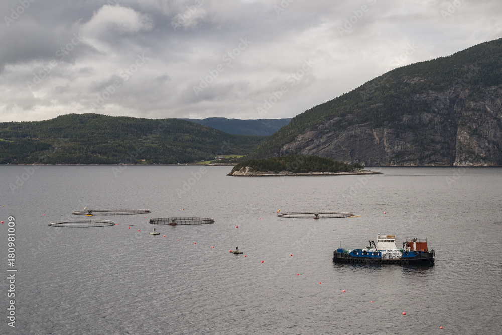 A salmon and mussels aquaculture located in a fjord