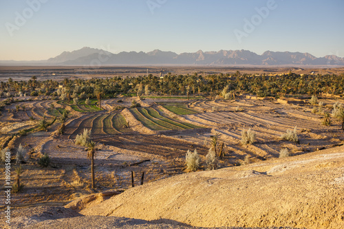 Oasis and Garmeh village Iran photo