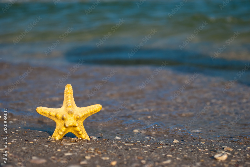 beautiful bright yellow starfish sea inhabitant on yellow sand on a background of blue sea and a white wave blue sky summer vacation summer day heat beach beautiful bright yellow starfish sea inhabitant on yellow sand on a background of blue sea and a white wave blue sky summer vacation summer day heat beach
