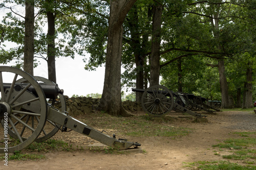 Historic Cannon Artillery in the Trees